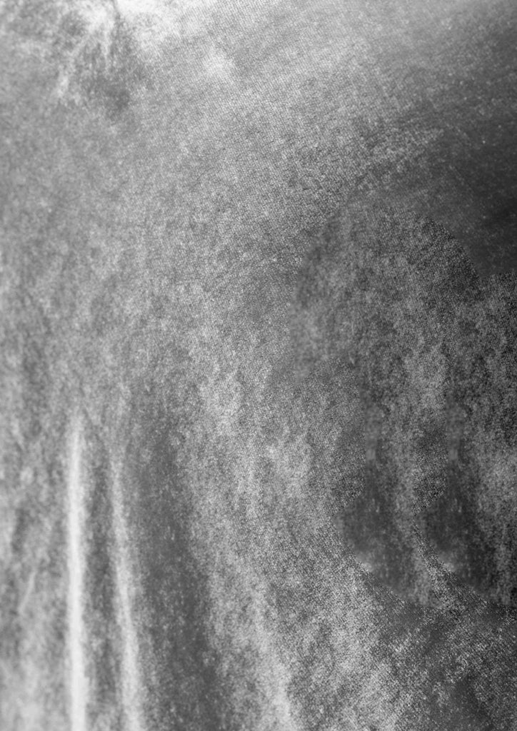 Cobain Dress Silver Velvet Detail Shot