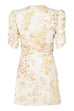 Indie Dress Passion Print